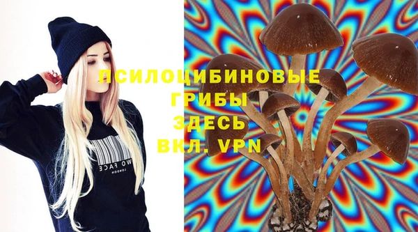 бошки Балахна