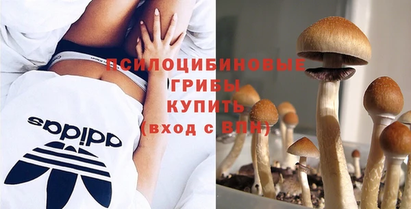 дмт Балабаново