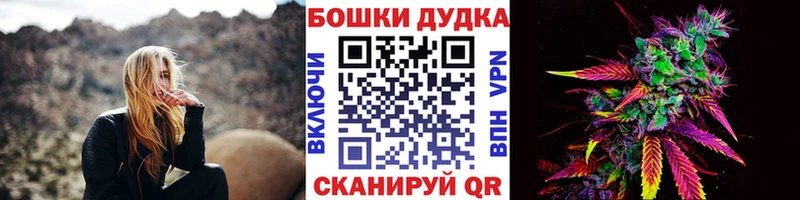 Конопля сатива Суздаль